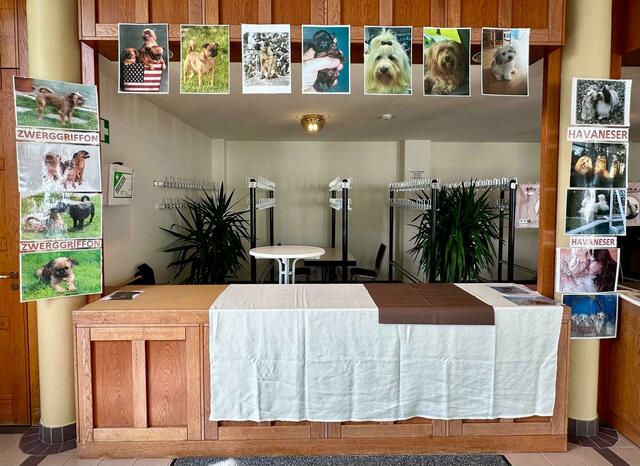 Foto: Hundesalon Wauzini