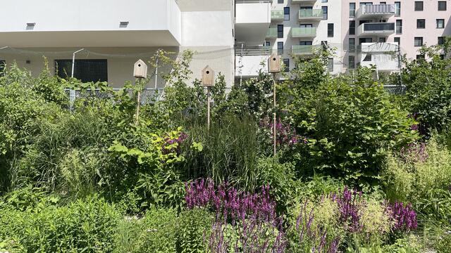 Foto: Kathrin Klemm/RMW