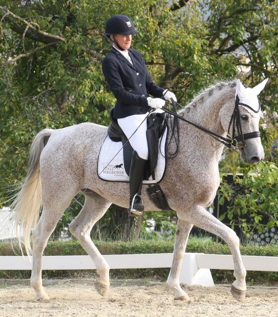 Foto: RC Dressage Group Styria