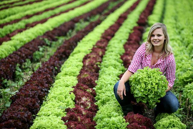 Oberösterreichs Gemüseproduzenten produzieren nach strengen Bio-Richtlinien. | Foto: Landwirtschaftskammer OÖ