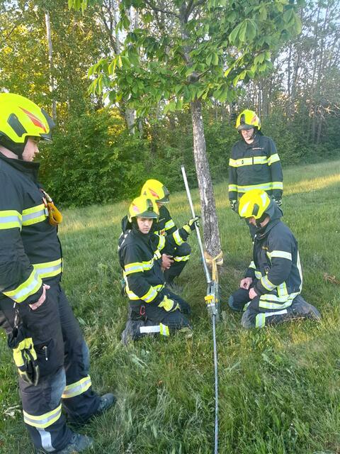 Einsatz des Greifzugs | Foto: FF Waidhofen/Thaya