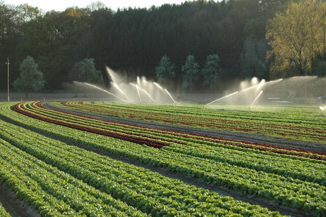 Das Land OÖ fördert Investitionen in überbetriebliche Bewässerungsanlagen.
 | Foto: Landwirtschaftskammer OÖ