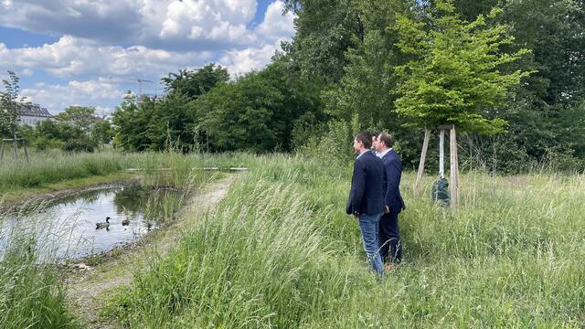 In der Freien Mitte ist Platz für Mensch und Tier. | Foto: Kathrin Klemm/RMW
