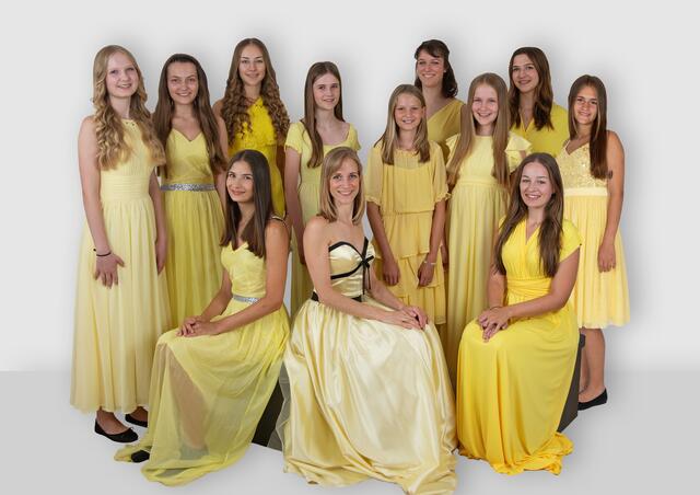 Die MusicalCompany tritt auf. | Foto: Kulturreif