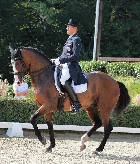 Foto: RC Dressage Group Styria
