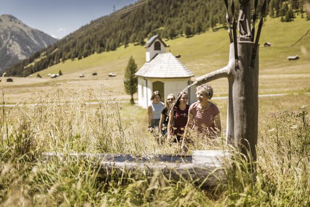 Die Pfundser Tschey ist der ideale Rahmen für die naturnahen Führungen.  | Foto: TVB Tiroler Oberland/Rudi Wyhlidal