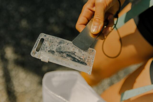 Wer ist beim Müllsammeln im Herbst 2024 dabei? | Foto: TZA