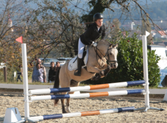 Foto: RC Dressage Group Styria
