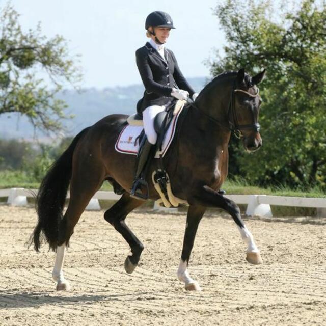 Foto: RC Dressage Group Styria