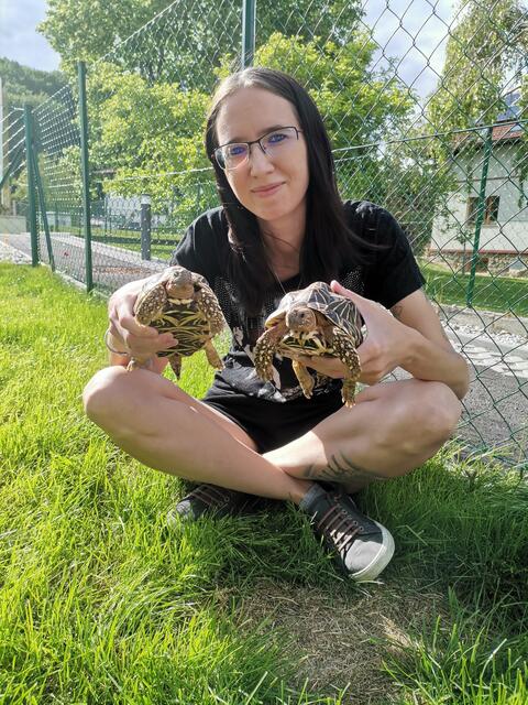 Redakteurin Kathrin Plavec-Liska mit den zwei Sternenschildkröten "Morla" und "Stuart". | Foto: Liska