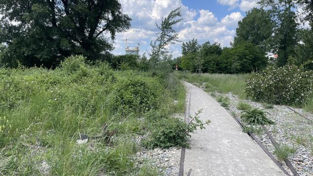 Die alten Gleise sind in der Parkanlage integriert und erinnern an den einstigen Nordbahnhof. | Foto: Kathrin Klemm/RMW