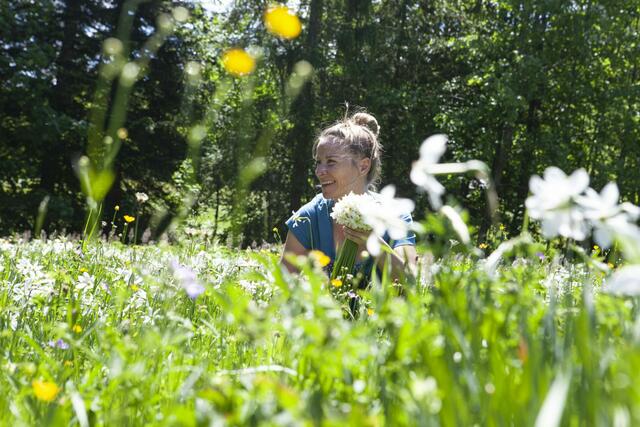 In den höheren Lagen des Ausseerlandes wird es mit hoher Wahrscheinlichkeit auch zum größten Blumenfest Österreichs Narzissen geben. Allerdings reicht das für die vielen Figuren nicht aus, daher wird derzeit an neuen Ideen gebastelt. | Foto: Stefanie Sima/Narzissenfestverein