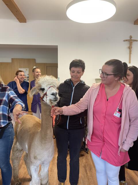 Die zahmen Tiere ließen sich gerne streicheln.   | Foto: Martina Obertimpfler 