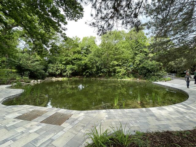 Foto: Johannes Reiterits/RMW