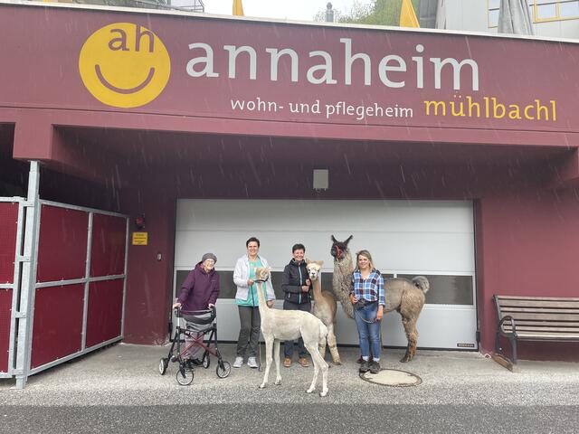 Der Besuch der drei Tiere bereitete den Bewohnern im Annaheim in Mühlbachl große Freude.  | Foto: Martina Obertimpfler 