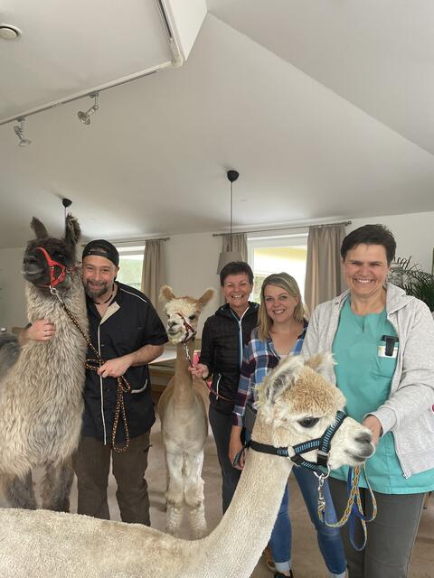 Der Besuch von Renate Mader mit ihren Gschnitzer Alpakas Pascolino, Casanova und Couscous erfreute nicht nur die Bewohnerinnen und Bewohner des Annaheims. Auch Chefkoch Christoph Oberluggauer und die beiden Sozialbetreuerinnen Edeltraud Hilber und Margit Strobl waren von den Tieren sichtlich angetan. | Foto: Martina Obertimpfler 
