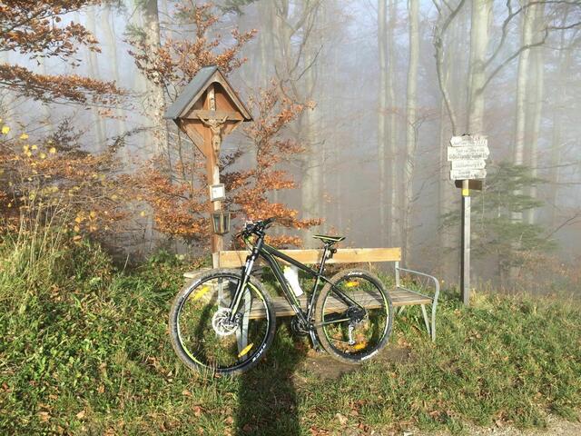 Auch bei Nebel ist das Pielachtal ein Erlebnis.  | Foto: Matthias Enne