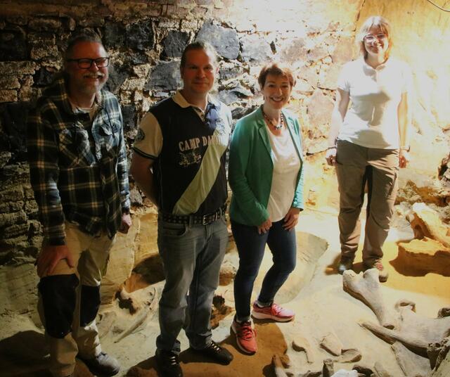 Dr. Thomas Einwögerer, Andreas Pernestorfer, Sonja Fragner und Dr. Hannah Parow-Souchon (von links).