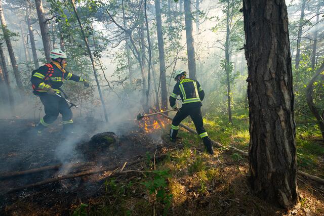 Foto: Pressestelle BFK Mödling / Seyfert