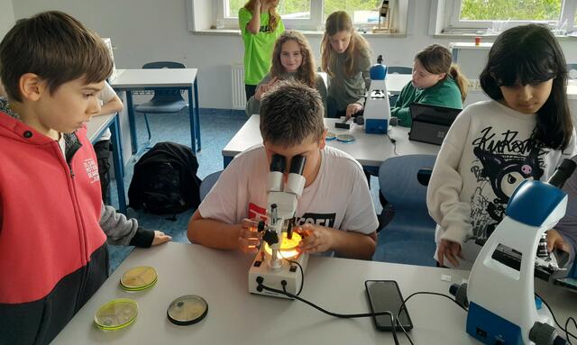 15 Forscher:innen der ersten Klassen nahmen die Oberflächen der einzelnen Schulbereiche genau unter die Lupe.  | Foto: Sport/Mittelschule St. Valentin/Schubertviertel