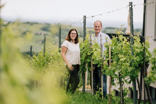 Rund neun Hektar an Weinanbaufläche bewirtschaftet man mittlerweile. | Foto: Rene Knabl
