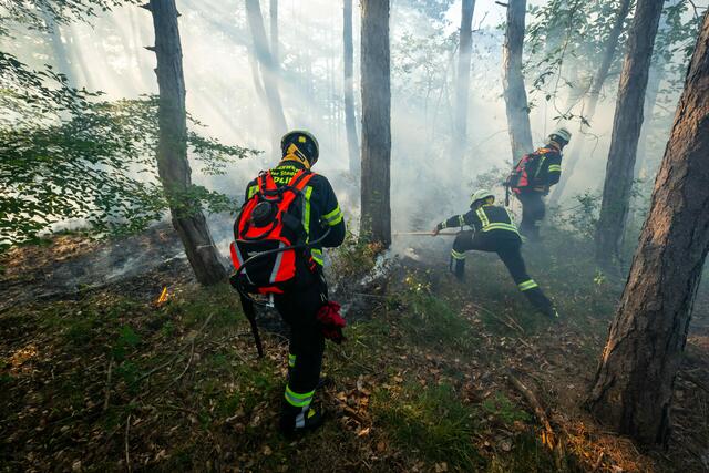 Foto: Pressestelle BFK Mödling / Seyfert &amp; Pressestelle Feuerwehr Mödling