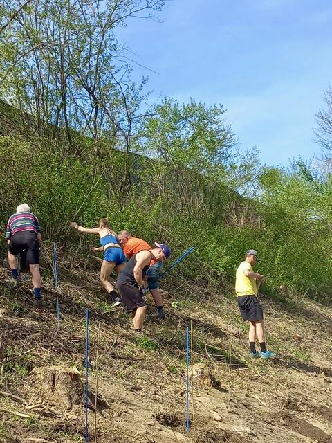 Foto: Günter Reisner