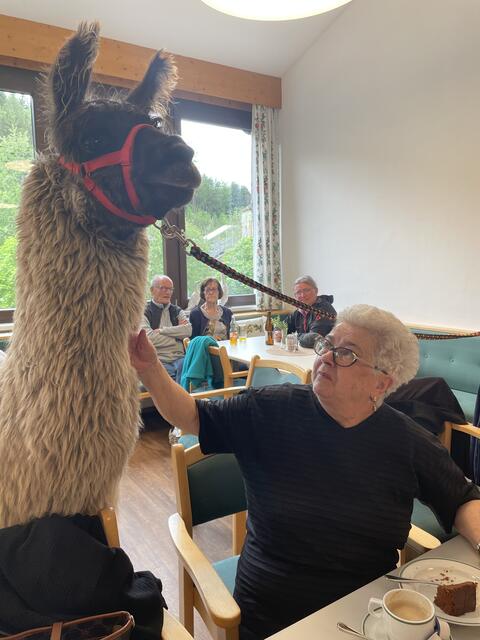 Stolz und erhaben blickt Couscous in die Ferne und genießt es gestreichelt zu werden.  | Foto: Martina Obertimpfler 