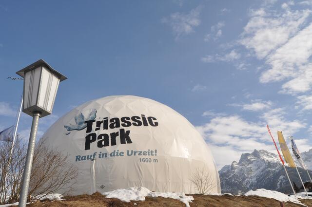 Die Ausstellung wird im Biatron zu sehen sein. | Foto: Kogler