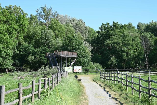 Aussichtsturm bei der Storchenkolonie