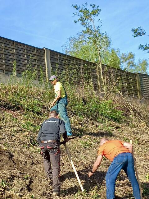 Foto: Günter Reisner