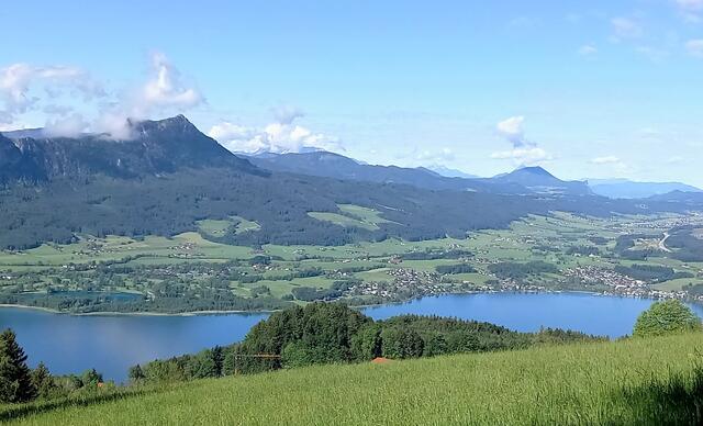Blick auf den Mondsee  | Foto: H.Bachinger 