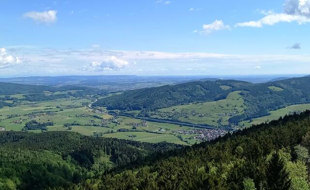 Foto: H.Bachinger 
