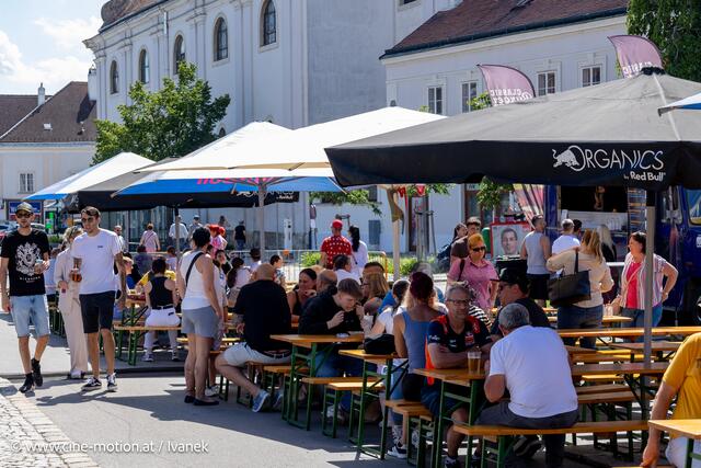 Foto: www.cine-motion.at / Ivanek