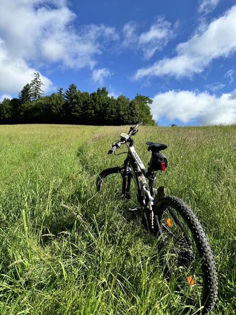 Frei befahrbare Mühlberg MTB Strecke
 | Foto: Franz Dörr