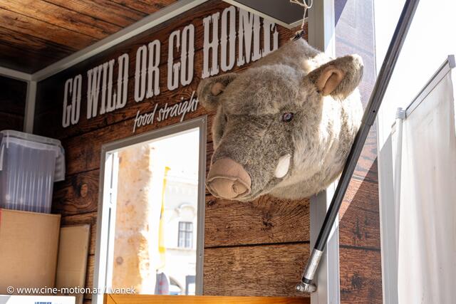 Foto: www.cine-motion.at / Ivanek