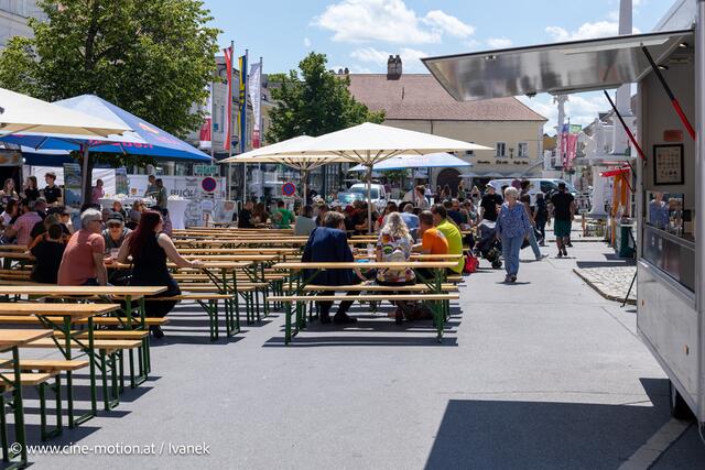 Foto: www.cine-motion.at / Ivanek