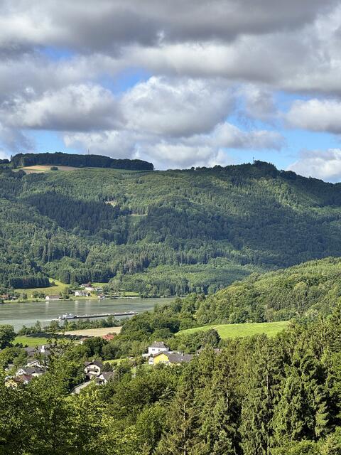 Herrlicher Ausblick ins Donautal mit Hengstberg im Hintergrund
 | Foto: Franz Dörr