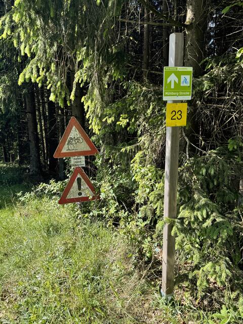 Selbst gemalte Warnschilder, der Waldbesitzer warnt vor Sturzgefahr, danke
 | Foto: Franz Dörr