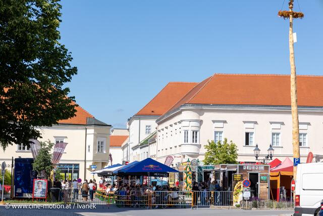 Foto: www.cine-motion.at / Ivanek