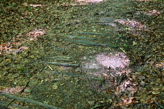 Alte hölzerne Wegbefestigung (?), nass und rutschig