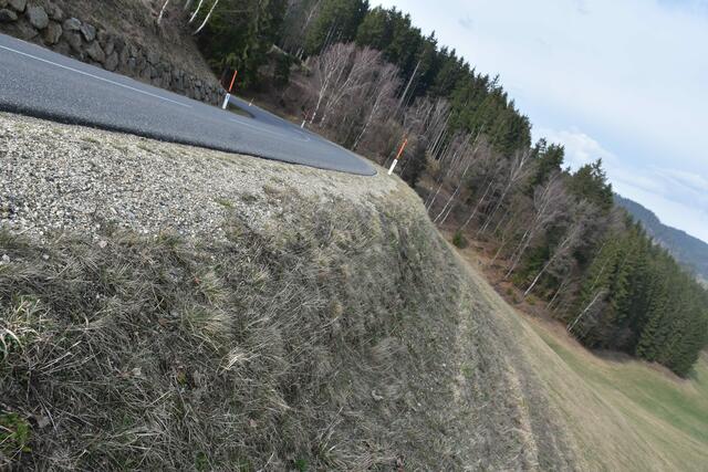 Hinterleitner Kurve nach der Hinterleitner Kreuzung. Straße Pabneukirchen Richtung  St. Georgen/Walde. | Foto: Zinterhof