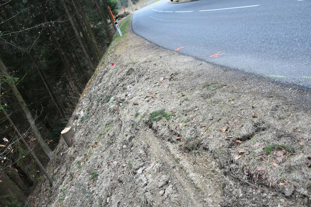 Todeskurve Richtung St. Georgen/W. Vor Jahren wurde hier eine Leitschiene abgelehnt: Begründung: Autos werden zurückgeschleudert auf die Straße. Jetzt war eine Leitschiene möglich. Es gab ein Todesopfer. | Foto: Zinterhof