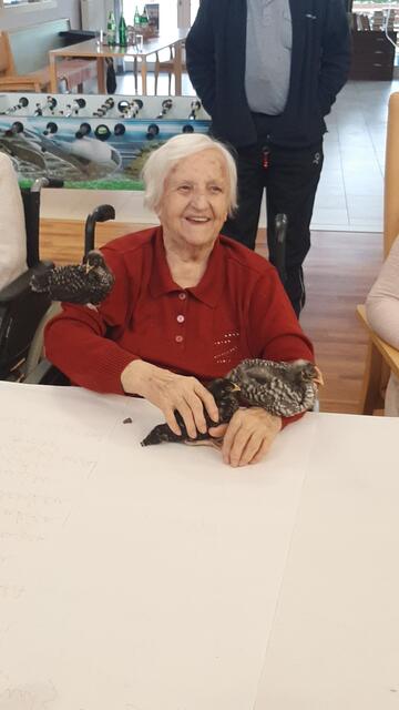 In Pflegekompetenzzentrum Draßburg drehte sich kürzlich alles rund um das Huhn.  | Foto: Pflegekompetenzzentrum Draßburg / Mazdra