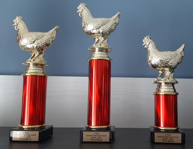 Die ersten drei Plätze erhielten einen Pokal | Foto: Pflegekompetenzzentrum Draßburg / Mazdra