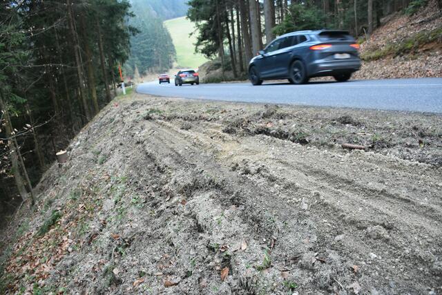 Todeskurve Richtung St. Georgen/W. Vor Jahren wurde hier eine Leitschiene abgelehnt: Begründung: Autos werden zurückgeschleudert auf die Straße. Jetzt war eine Leitschiene möglich. Es gab ein Todesopfer. | Foto: Zinterhof