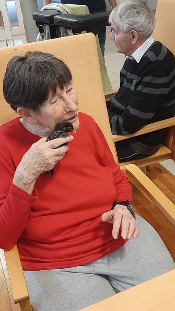 Nach der Siegerehrung durfte noch mit einigen Küken gekuschelt werden. | Foto: Pflegekompetenzzentrum Draßburg / Mazdra