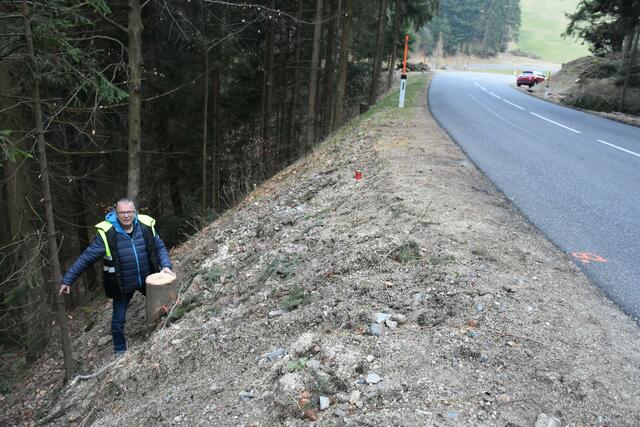 Nachher - Todeskurve Richtung St. Georgen/W. Vor Jahren wurde hier eine Leitschiene abgelehnt: Begründung: Autos werden zurückgeschleudert auf die Straße. Jetzt war eine Leitschiene möglich. Es gab ein Todesopfer. | Foto: Zinterhof