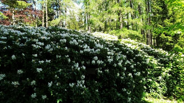 Foto: © Silvia Plischek