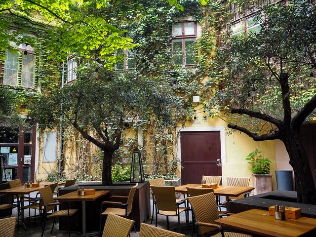 Innenhof-Gastgarten unter Olivenbäumen. | Foto: Anna Rauchecker